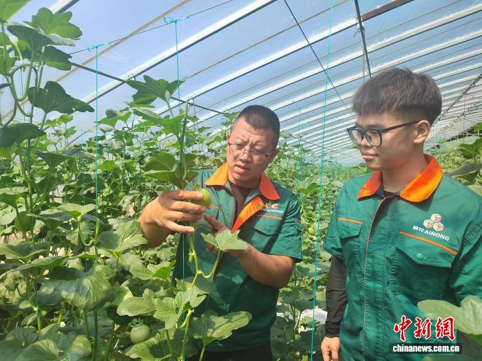 都是技术员, AA, 苗泡在水里 都是技术员, AA, 苗泡在水里