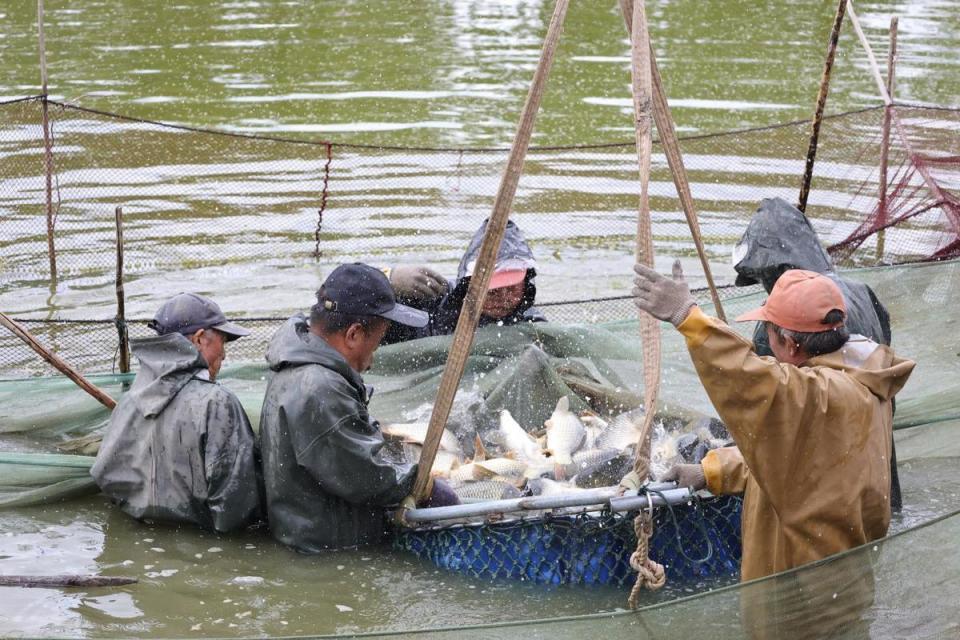 消防保障, 现场秩序, 宣传