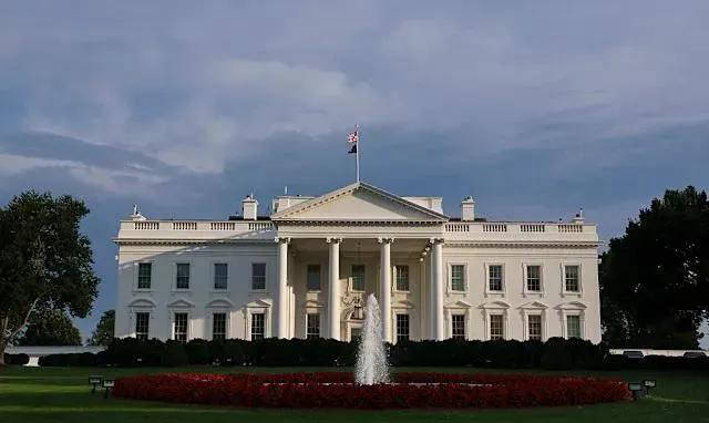 明星选手的, img