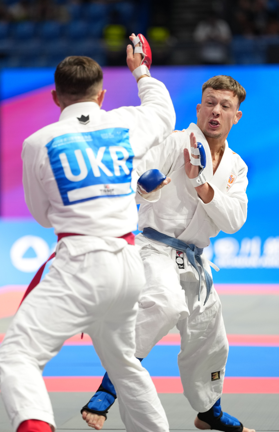 范德维尔在, PFSsR