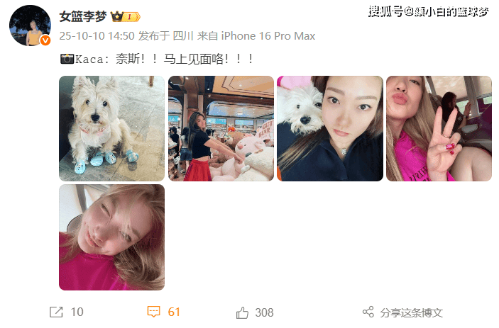 合同, 成都进行了